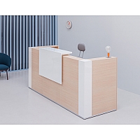 Tera reception desk